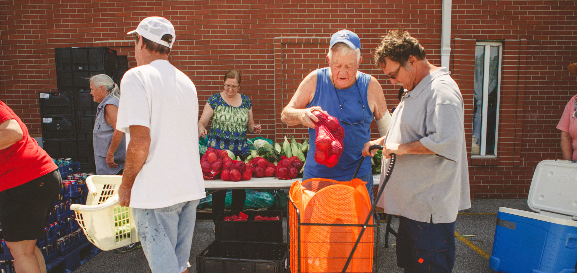 Individuals engage in an outdoor market activity, examining and handling fresh produce under a bright, sunny sky.