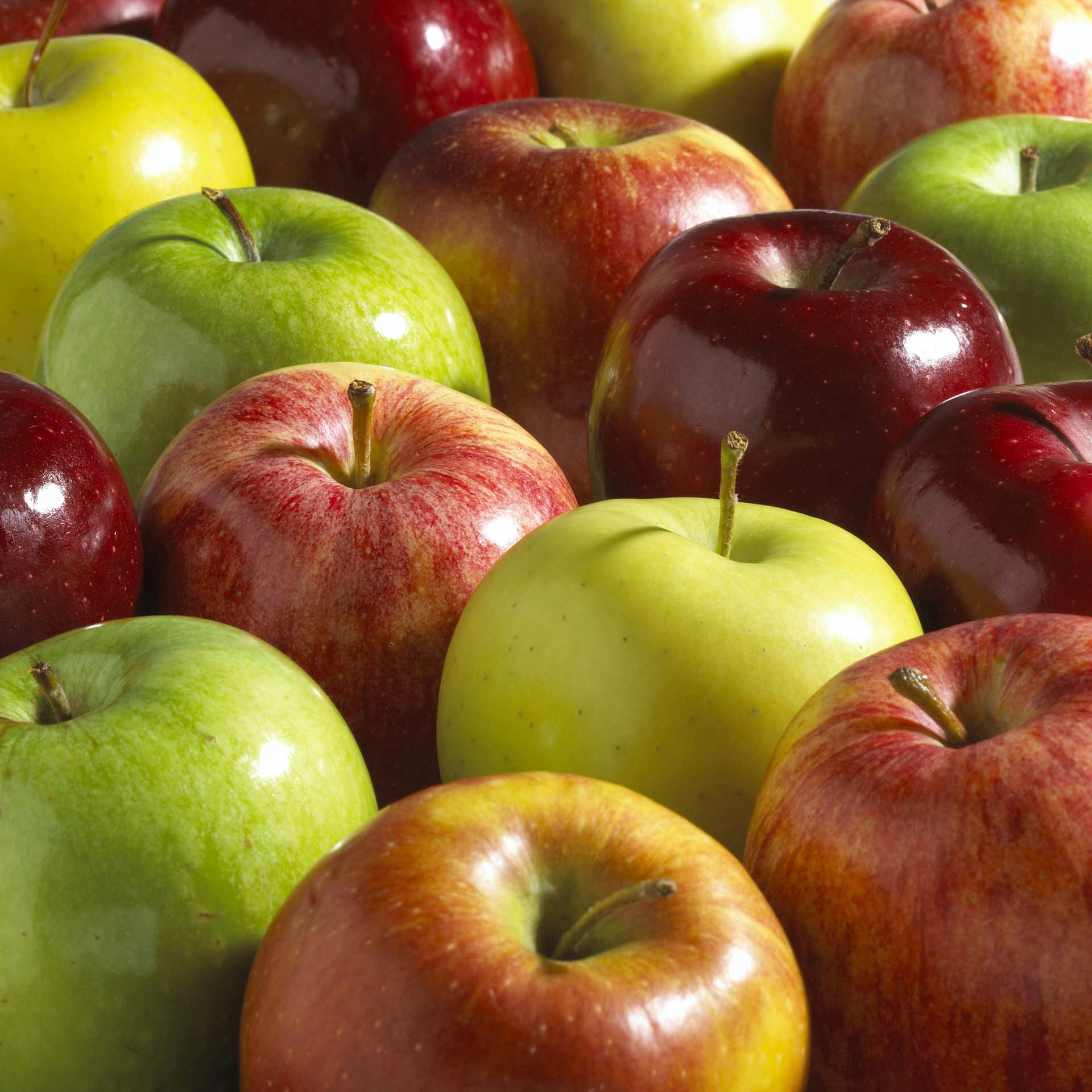 A collection of shiny red and green apples is closely arranged, highlighting their fresh and juicy appearance.