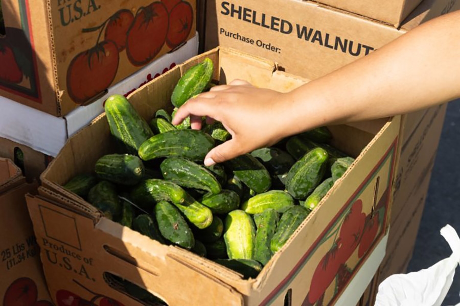 A hand is selecting cucumbers from a box at a market stand, with boxes of shelled walnuts in the background.